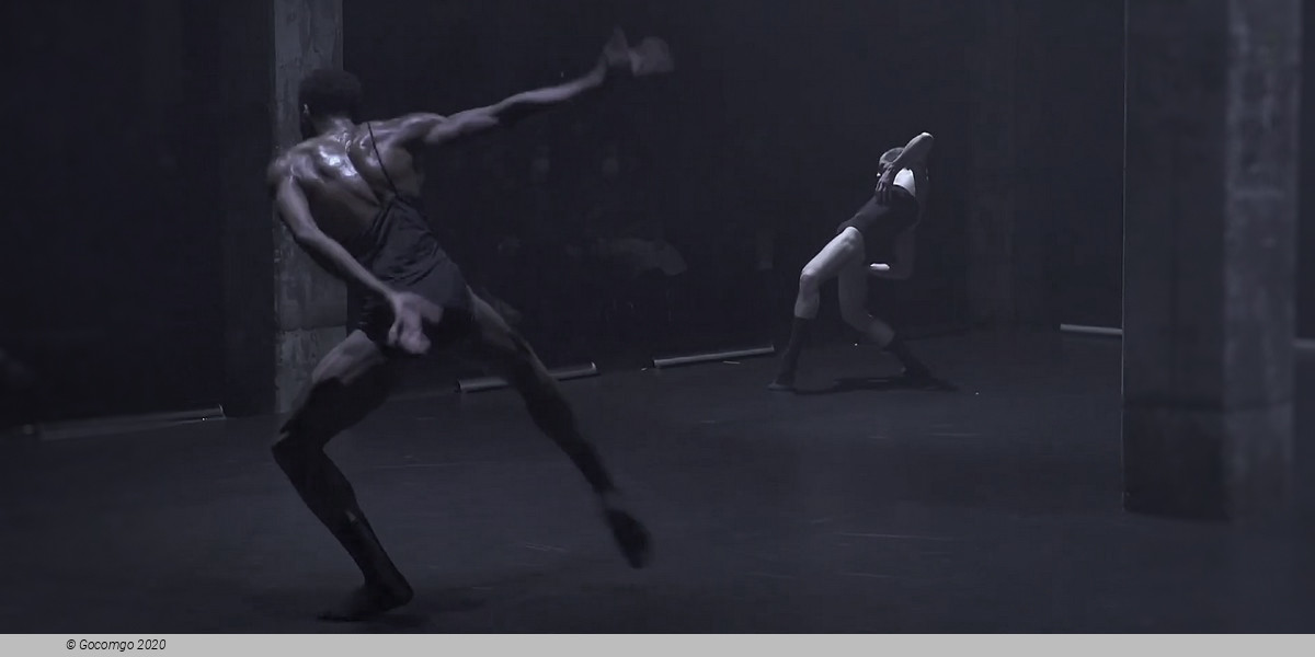 An evening of Modern Ballets by Sharon Eyal and​ Mats Ek: OCD Love. Appartement, photo 4