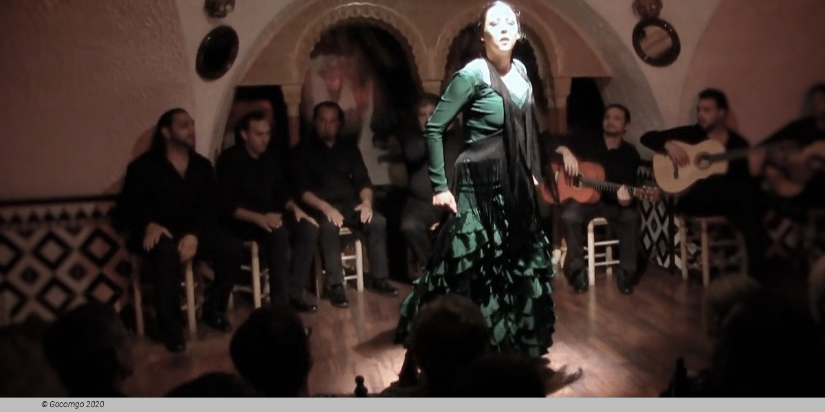 Flamenco in Barcelona Show