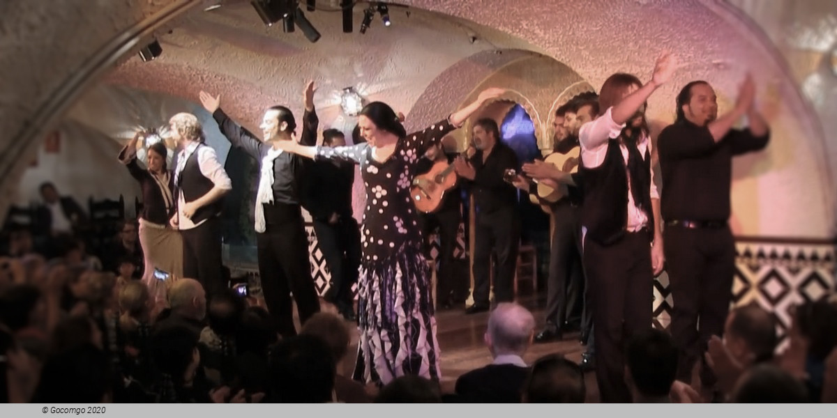 Flamenco in Barcelona Show