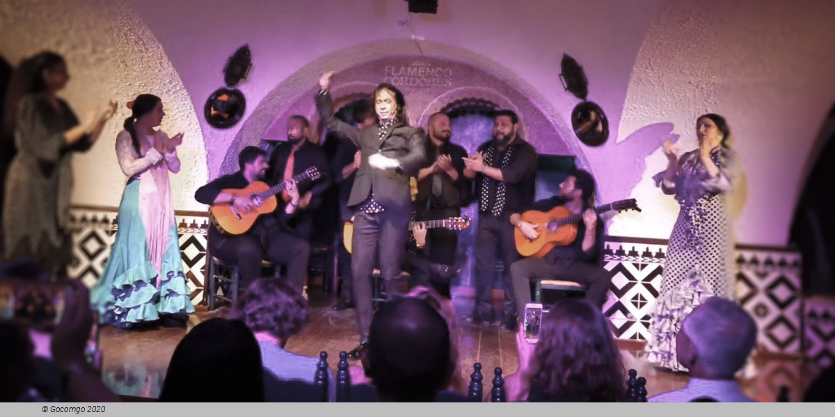 Flamenco in Barcelona Show, photo 9