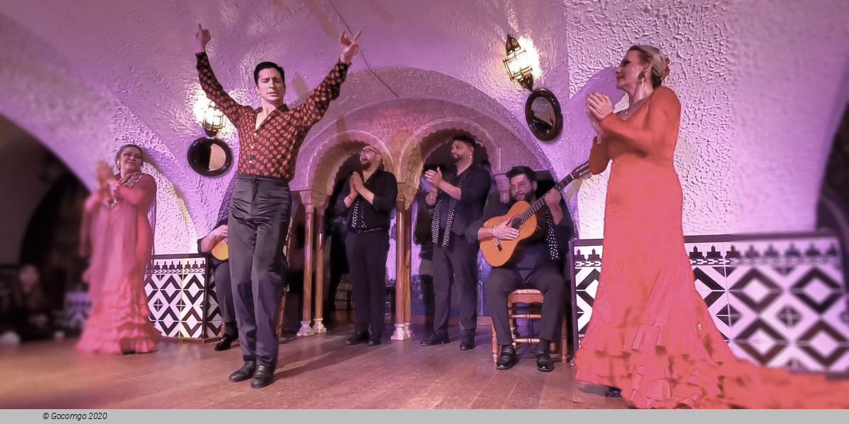 Flamenco in Barcelona Show - New Year' s Eve Gala