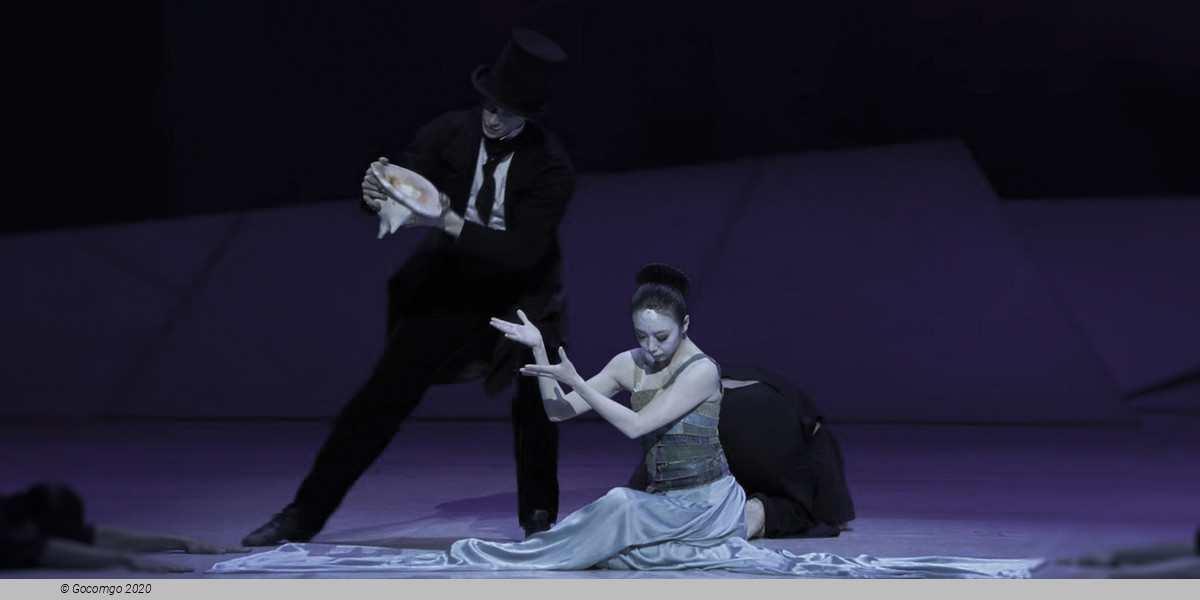 Hamburg Ballet - The Little Mermaid, photo 3