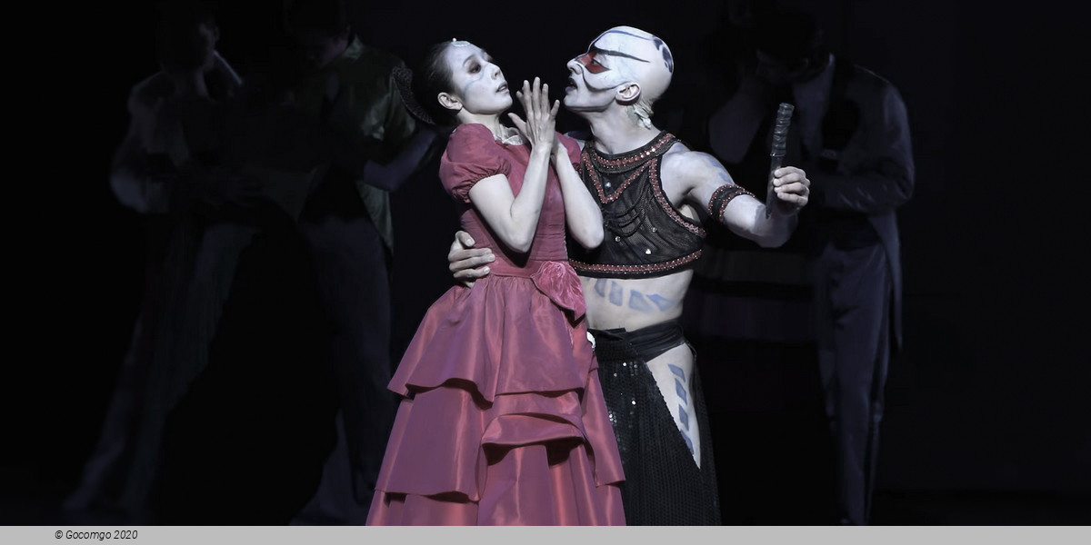 Hamburg Ballet - The Little Mermaid, photo 11