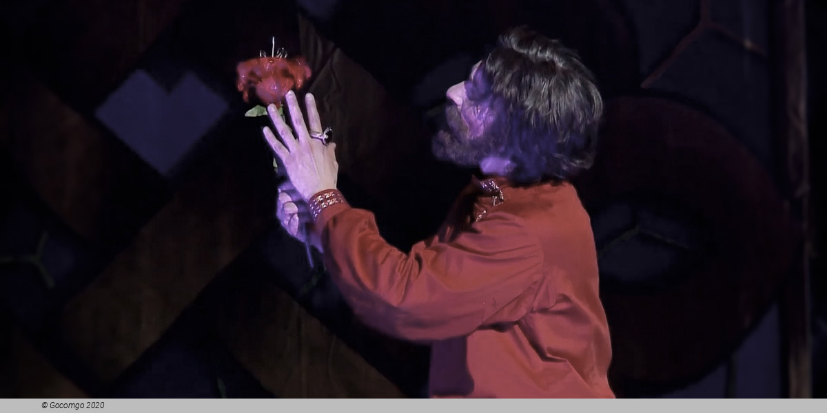 The Scarlet Flower