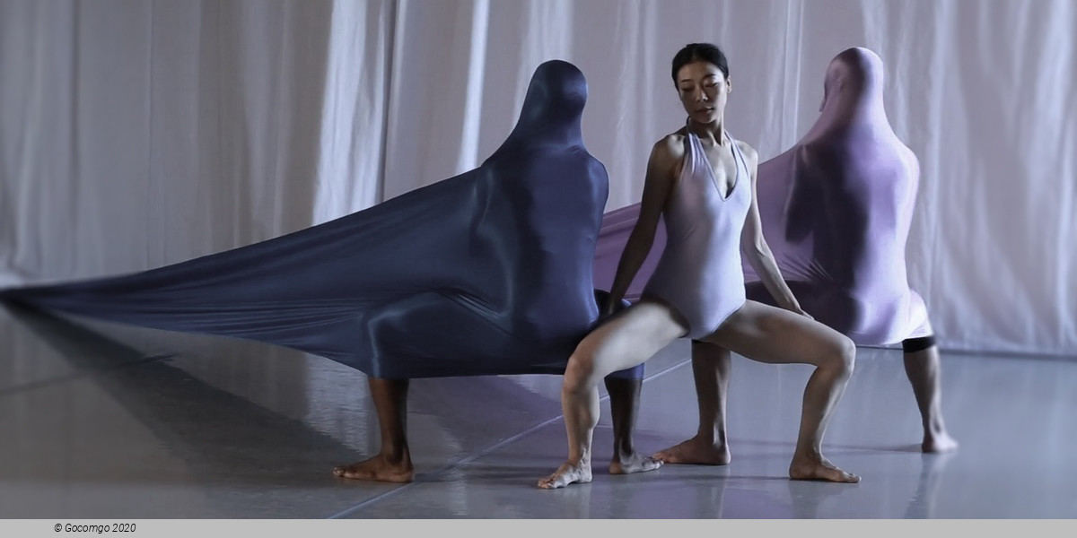 Evening of Modern Ballets "Pulsations": Creation. Lamentation. Schmetterling, photo 1