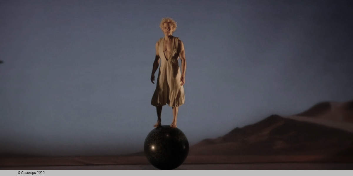 The Little Prince