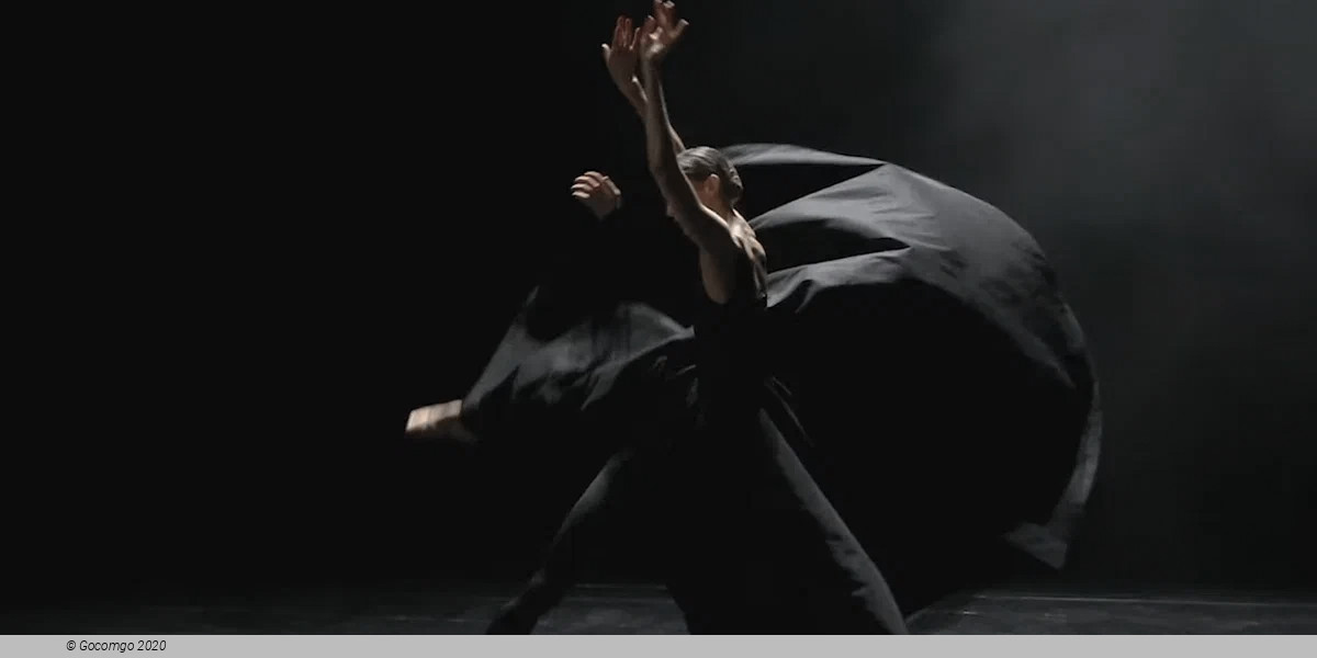 New ballet by Katarzyna Kozielska, photo 1