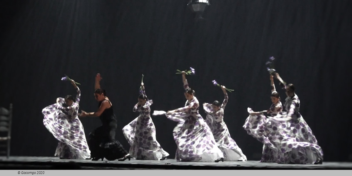 Sara Baras Flamenco Ballet Company Gala Vuela, photo 4