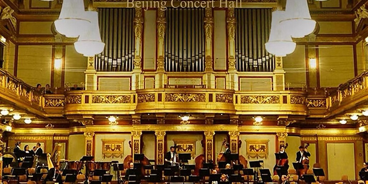 Vienna Royal Symphony Orchestra - 2027 New Year Concert, photo 1