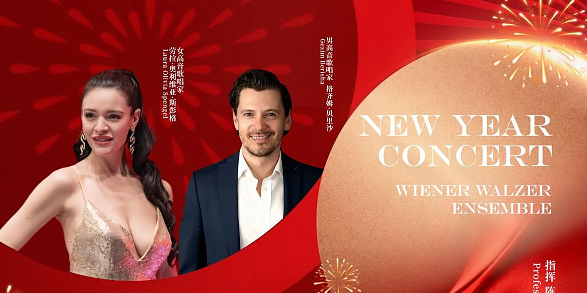 Vienna Waltz Orchestra - 2027 New Year Concert, photo 1