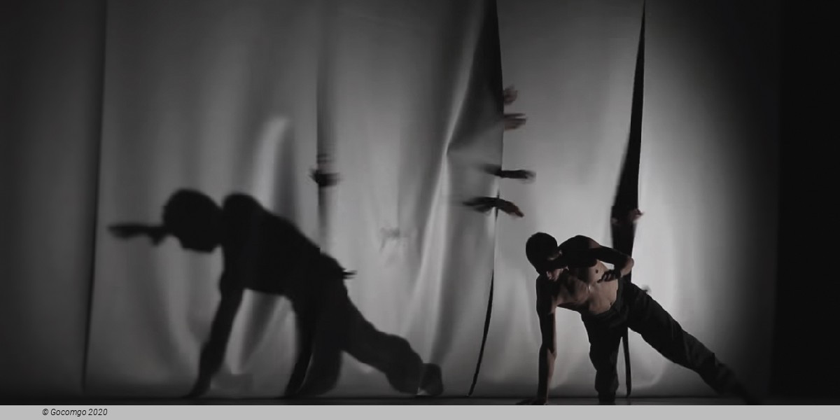 NNB2: Vivace, photo 2
