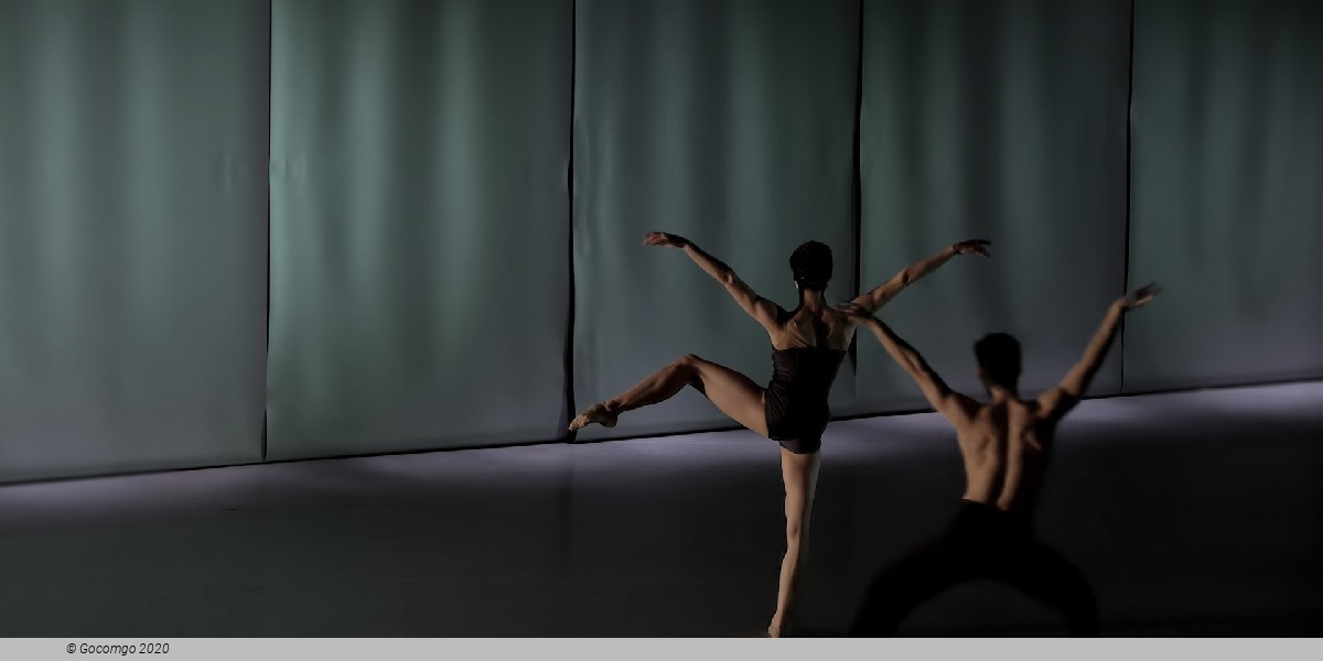NNB2: Vivace, photo 5