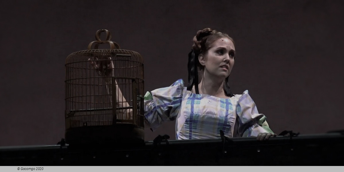 Scene 7 from the musical "Sweeney Todd", photo 7