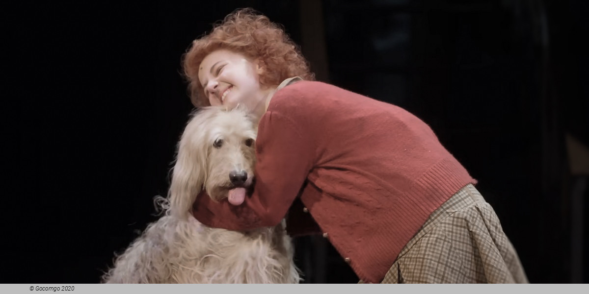 Annie, photo 5