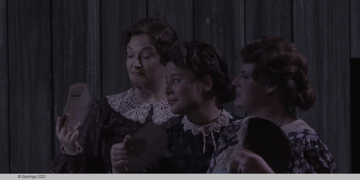 Susannah, photo 4