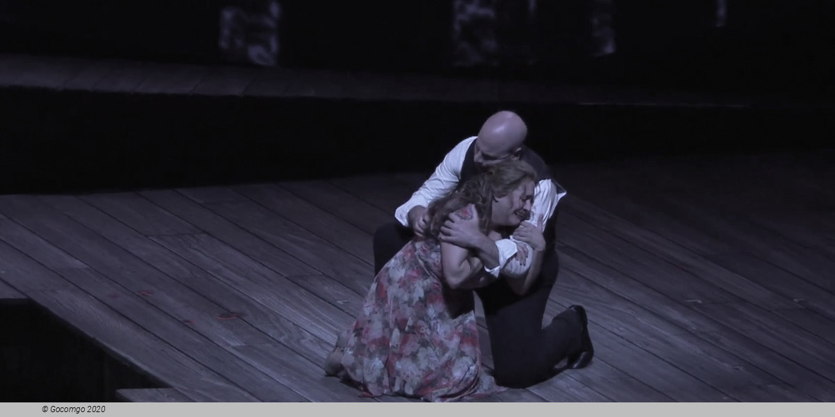 Susannah, photo 6