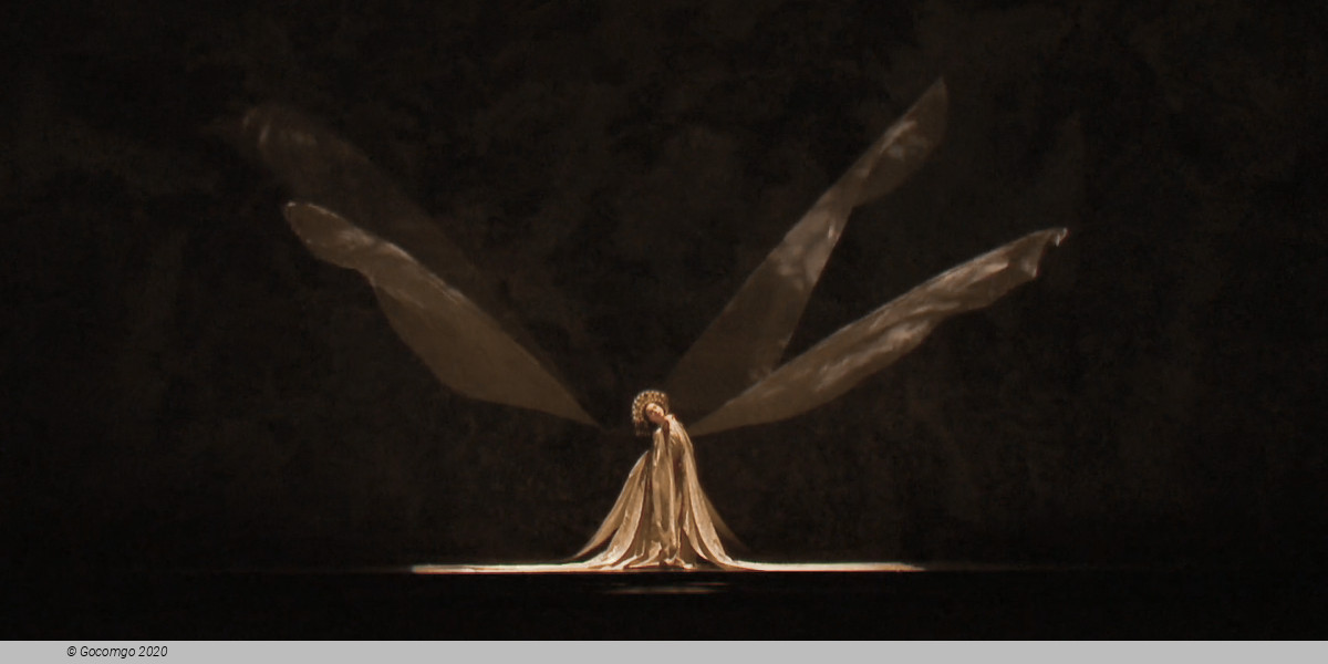 Madame Butterfly(Ballet), photo 8