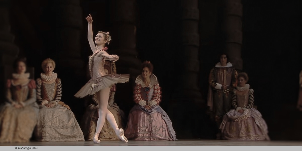 Scene 6 from the ballet "The Sleeping Beauty", photo 6