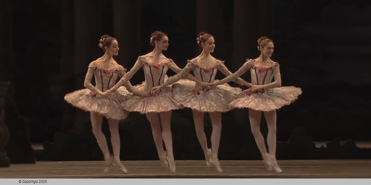 Scene 7 from the ballet "The Sleeping Beauty", photo 7