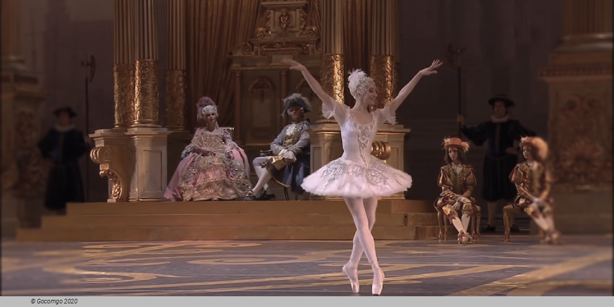 Scene 8 from the ballet "The Sleeping Beauty", photo 8
