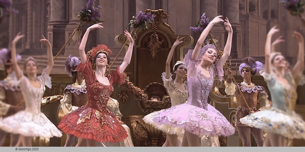 Scene 5 from the ballet "The Sleeping Beauty", photo 9
