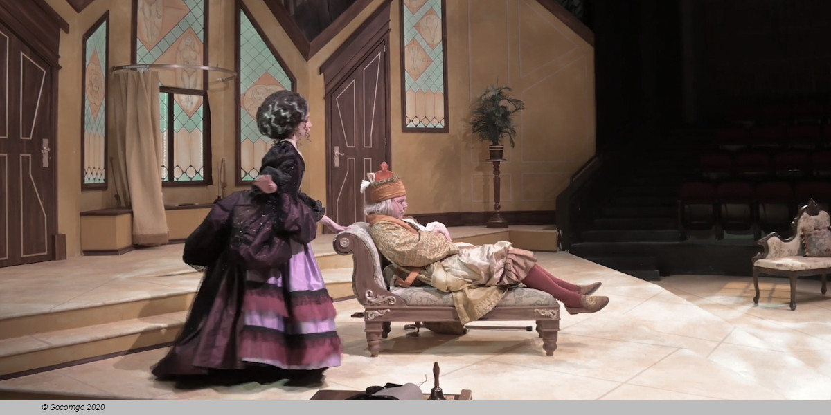 The Imaginary Invalid, photo 6