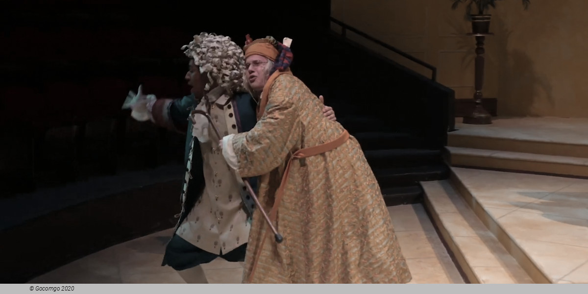 The Imaginary Invalid, photo 7