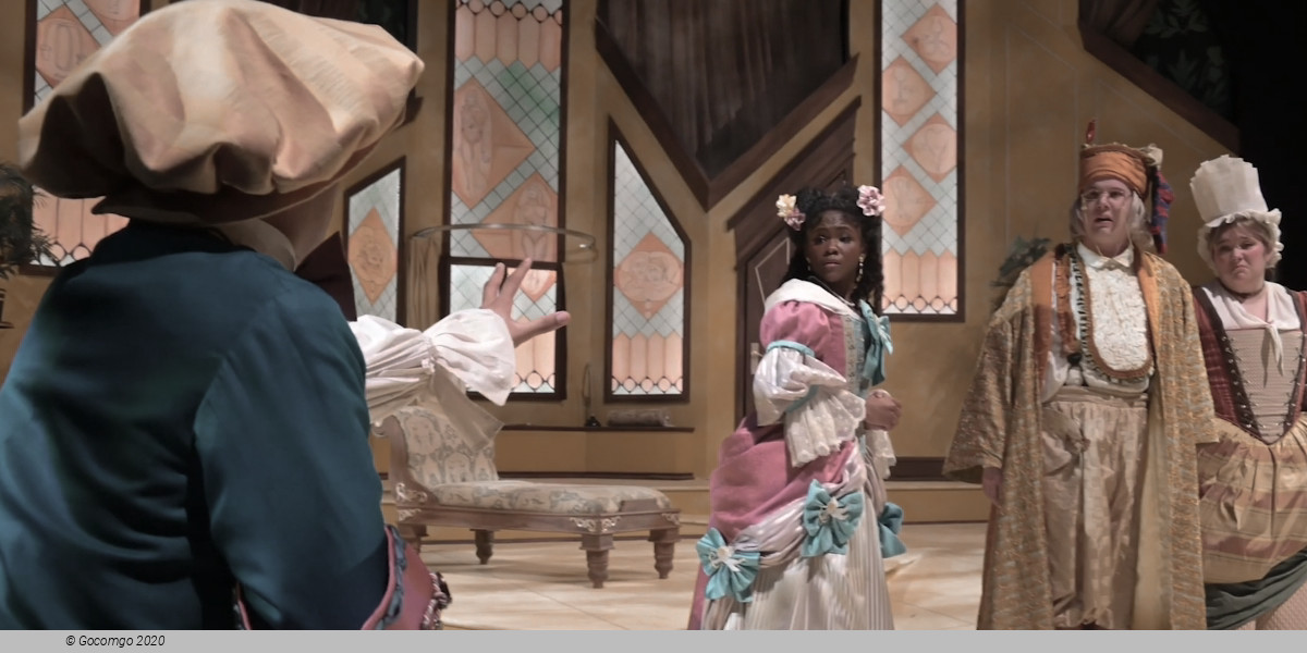 The Imaginary Invalid, photo 11