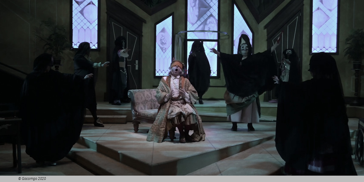 The Imaginary Invalid, photo 14