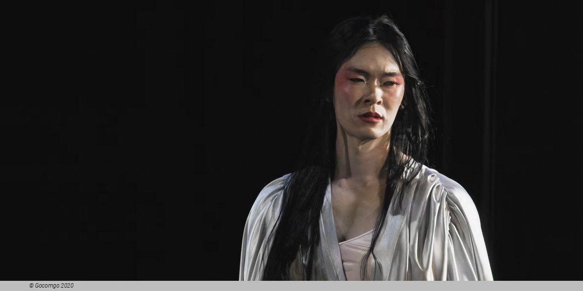 M. Butterfly (Huang Ruo), photo 3