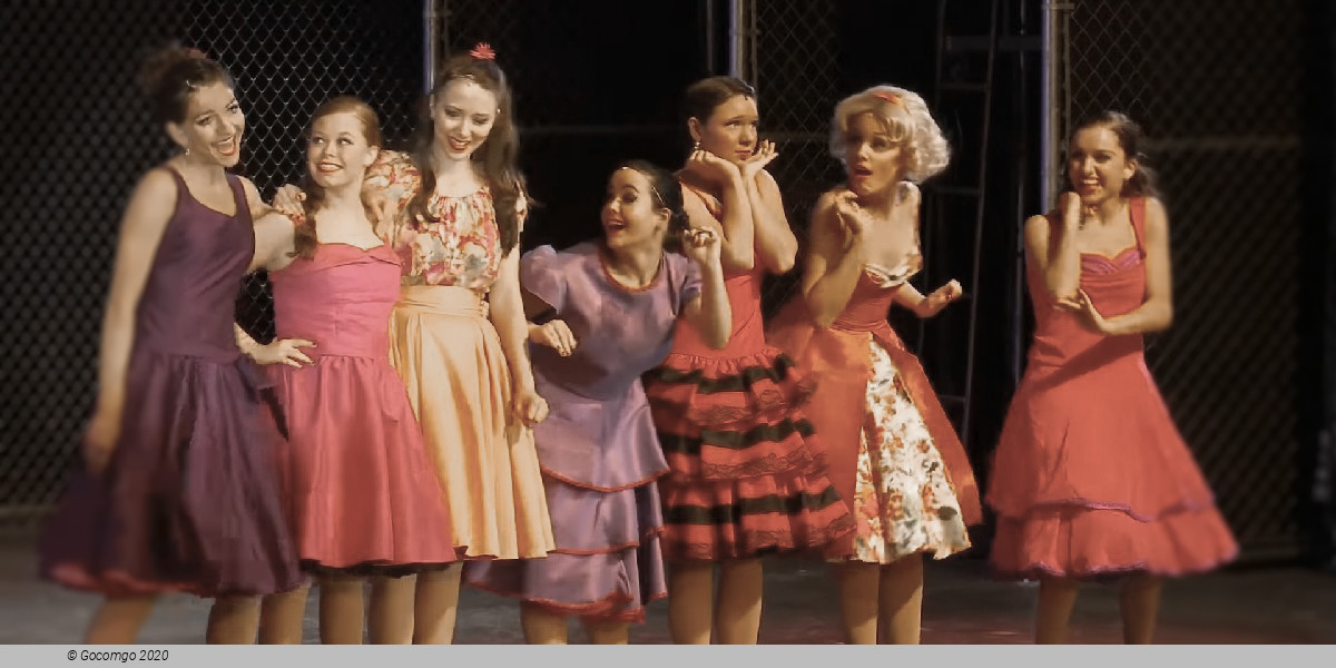 Scene 5 from the musical "West Side Story", photo 5