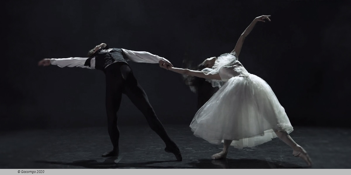 Scene 1 from the ballet "The Lady with the Camellias", photo 9