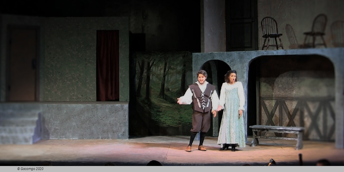 Scene 3 from the opera "The Merry Wives of Windsor", photo 4
