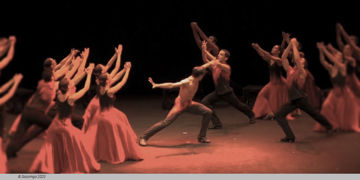Scene 1 from the ballet "Bolero", photo 11