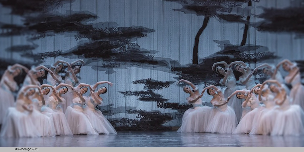 Scene 2 from the ballet "Chopiniana (Les Sylphides)", photo 3
