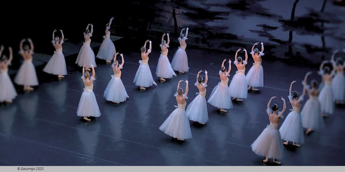 Scene 7 from the ballet "Chopiniana (Les Sylphides)", photo 7