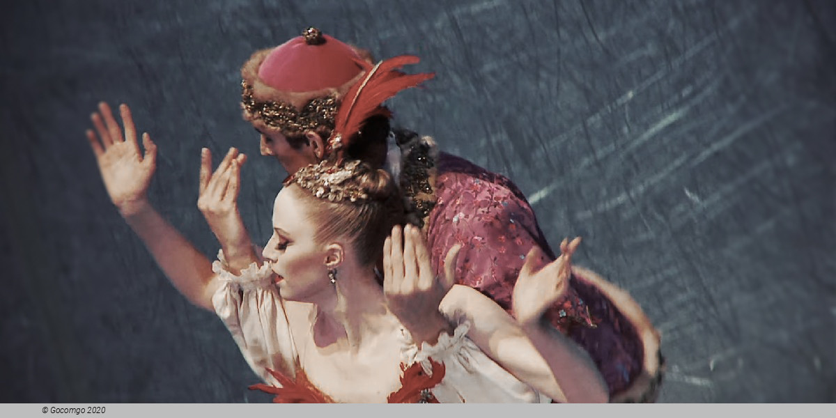 Scene 2 from the ballet "The Firebird", photo 6