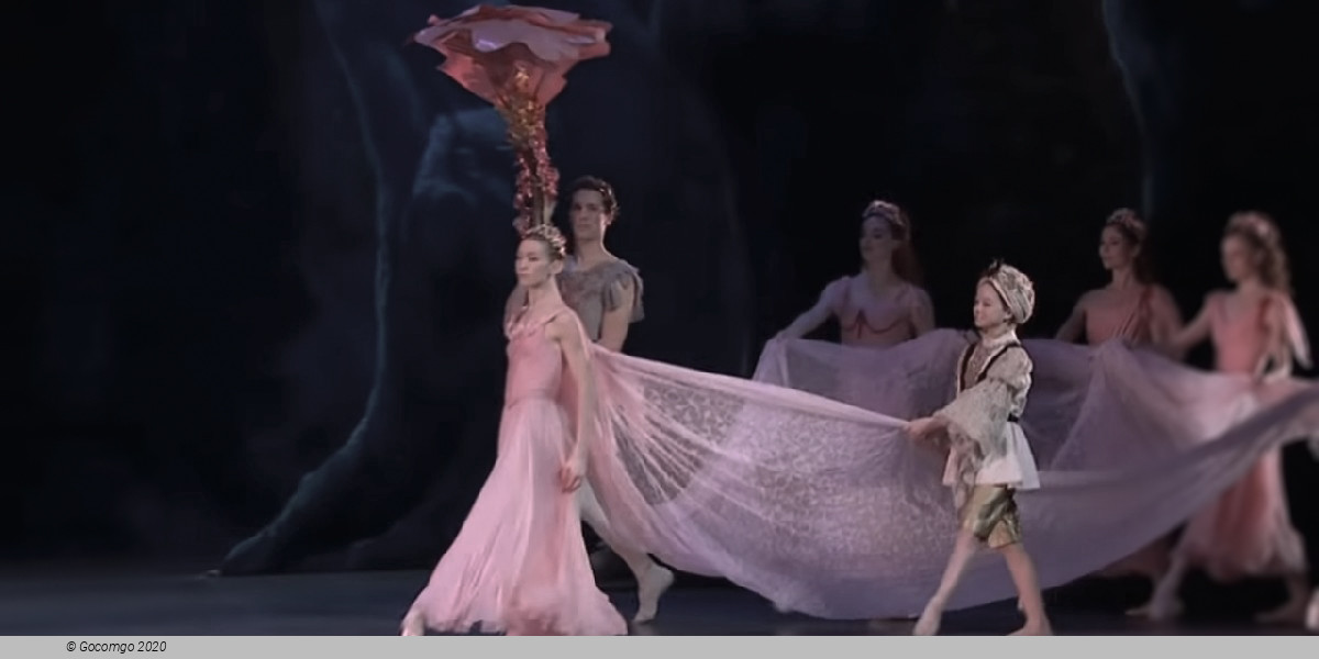 Scene 3 from the ballet "A Midsummer Night's Dream", photo 3