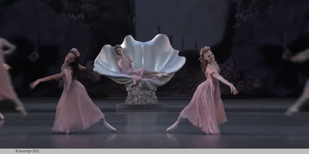 Scene 5 from the ballet "A Midsummer Night's Dream", photo 10