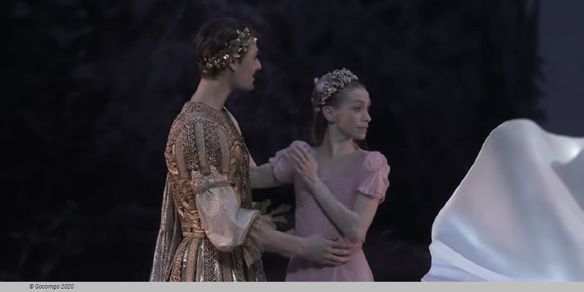 Scene 6 from the ballet "A Midsummer Night's Dream", photo 11
