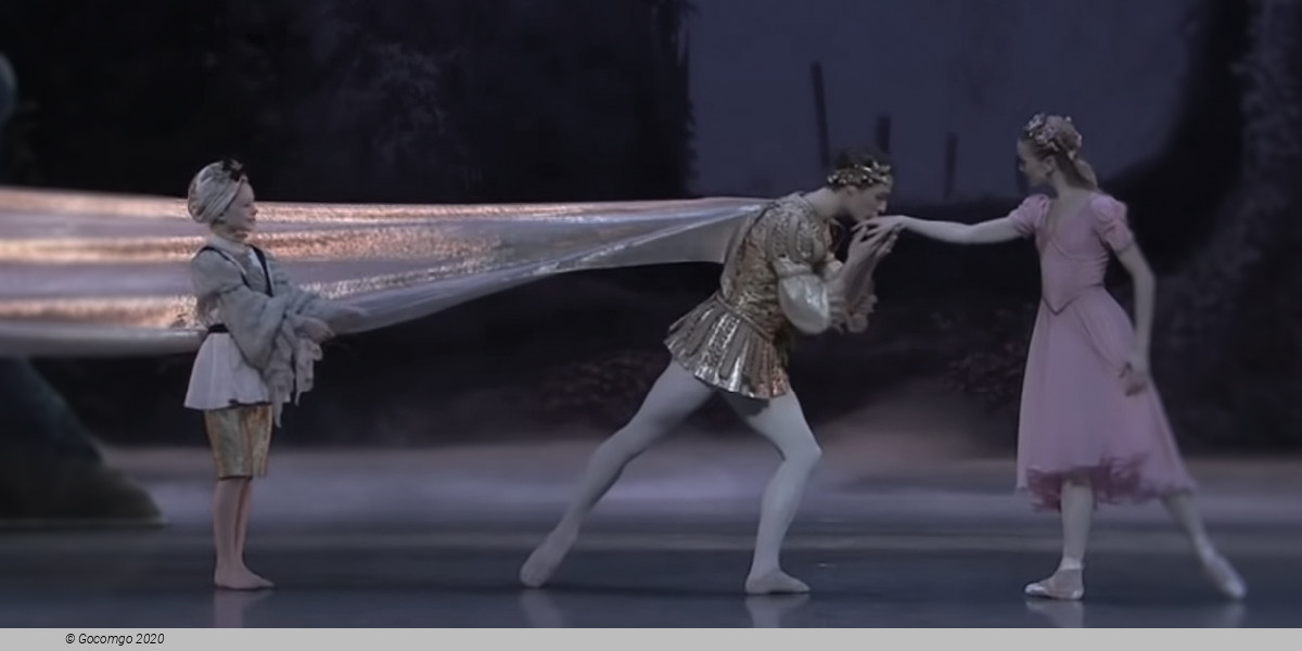Scene 7 from the ballet "A Midsummer Night's Dream", photo 7