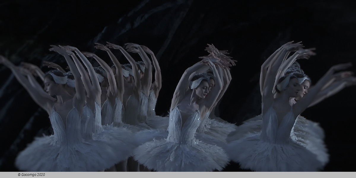 Scene 4 from the ballet "Swan Lake", photo 6