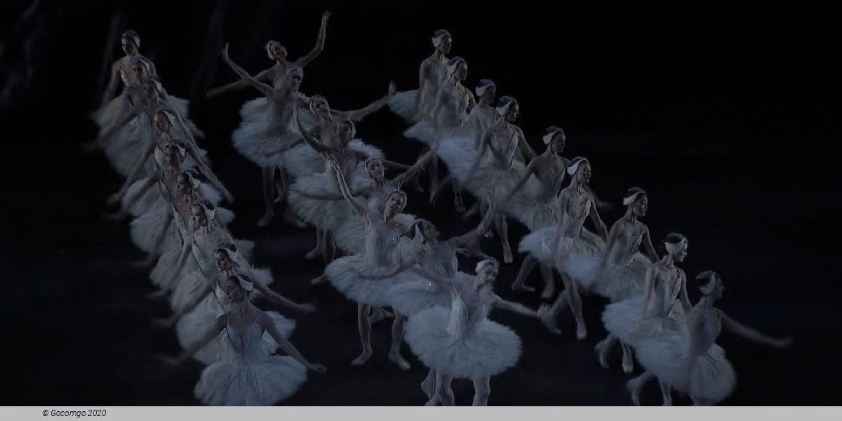 Scene 5 from the ballet "Swan Lake", photo 12