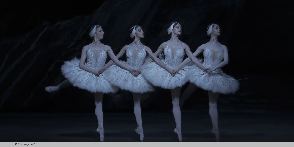 Scene 6 from the ballet "Swan Lake", photo 8