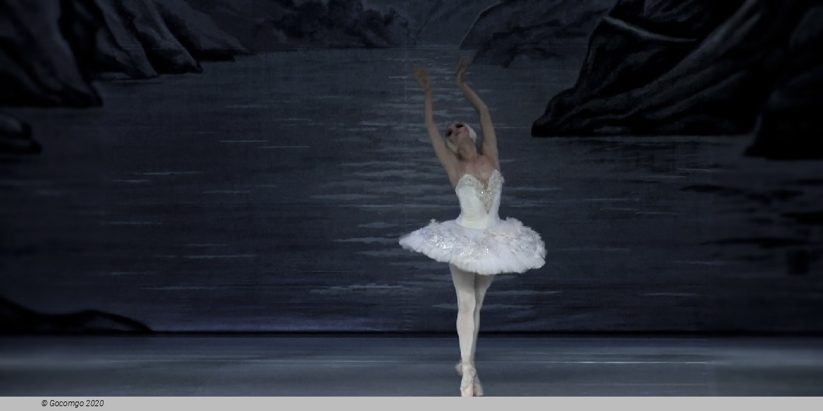 Scene 10 from the ballet "Swan Lake", photo 17