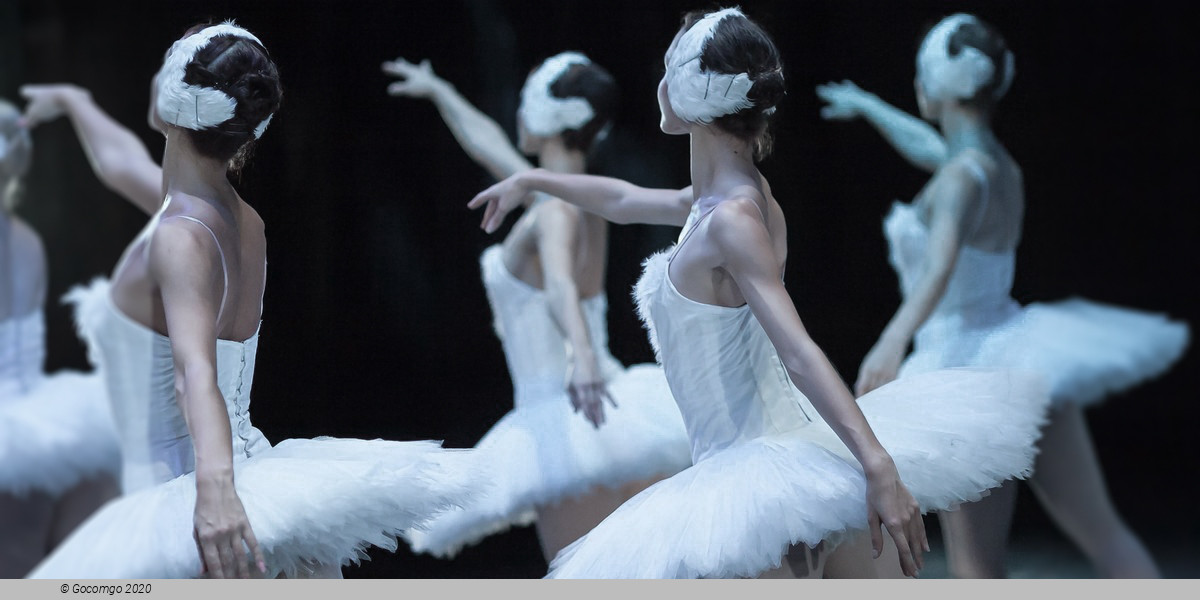 Scene 2 from the ballet "Swan Lake", photo 1