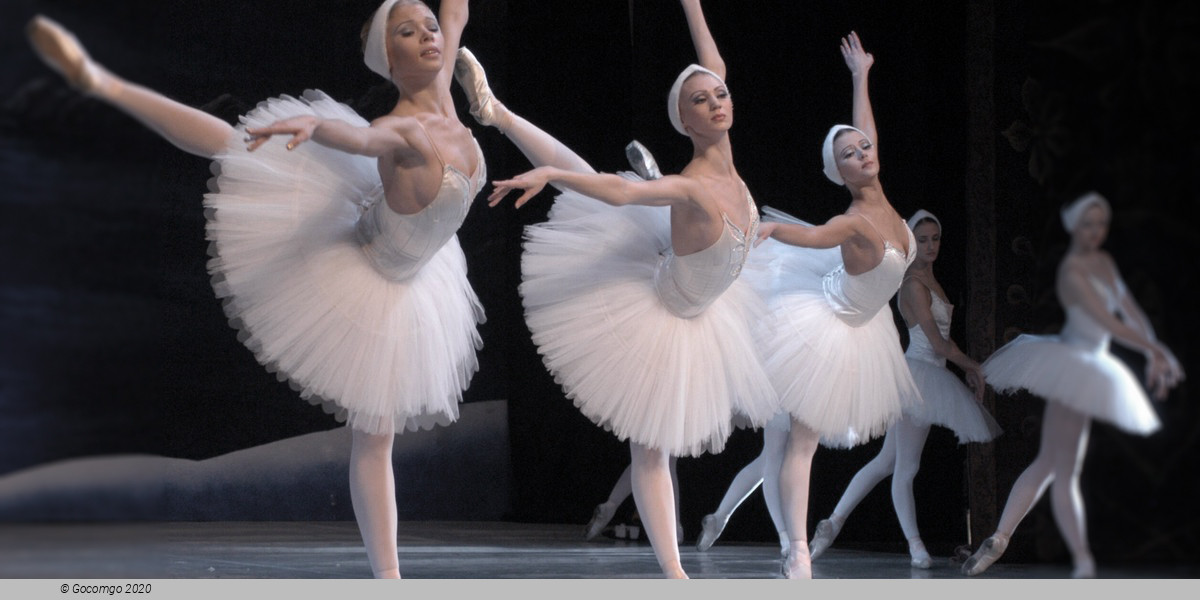 Scene 12 from the ballet "Swan Lake", photo 3