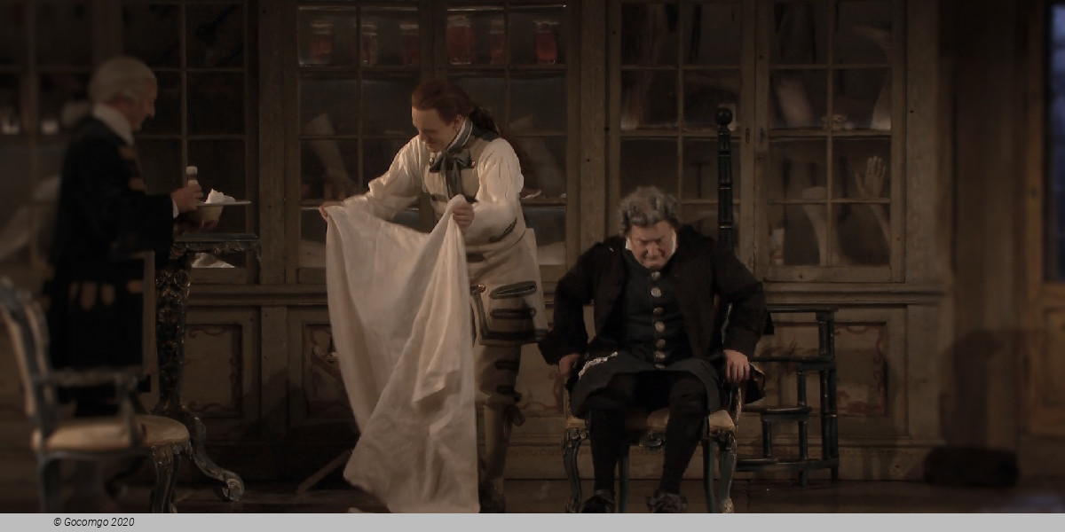 Scene 7 from the opera "The Barber of Seville", photo 12