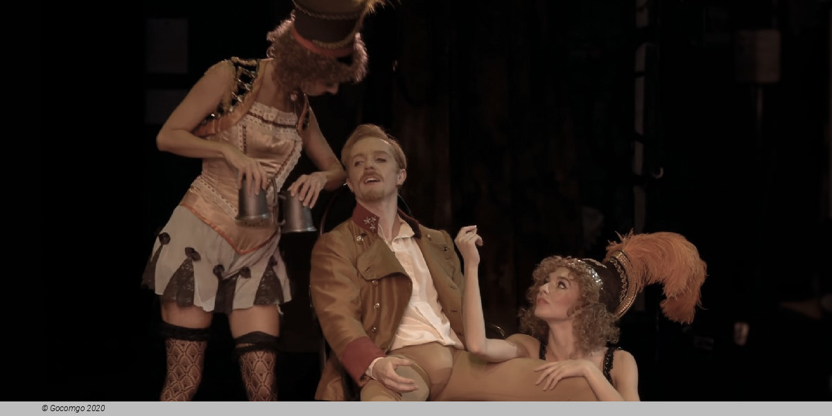 Scene 6 from the ballet "Mayerling", photo 9