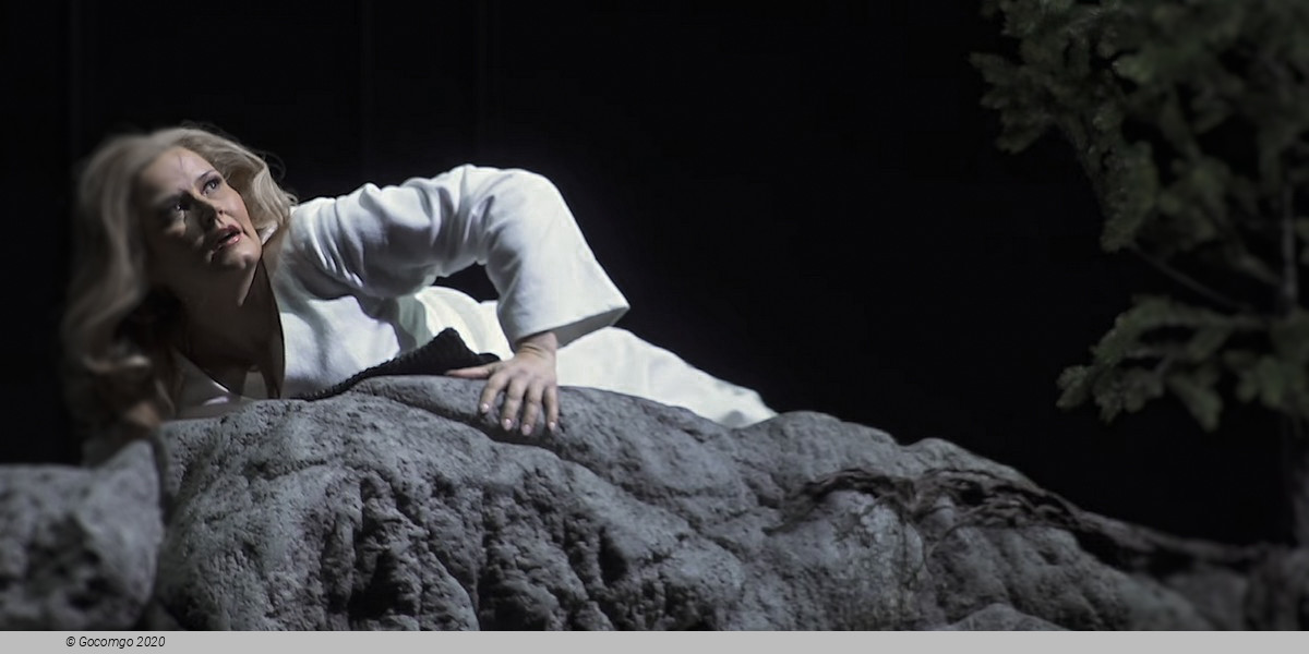 Scene 6 from the opera "Siegfried", photo 7